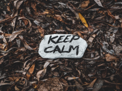 A white stone with the phrase "KEEP CALM" written in bold black letters, resting on a background of brown, fallen leaves.