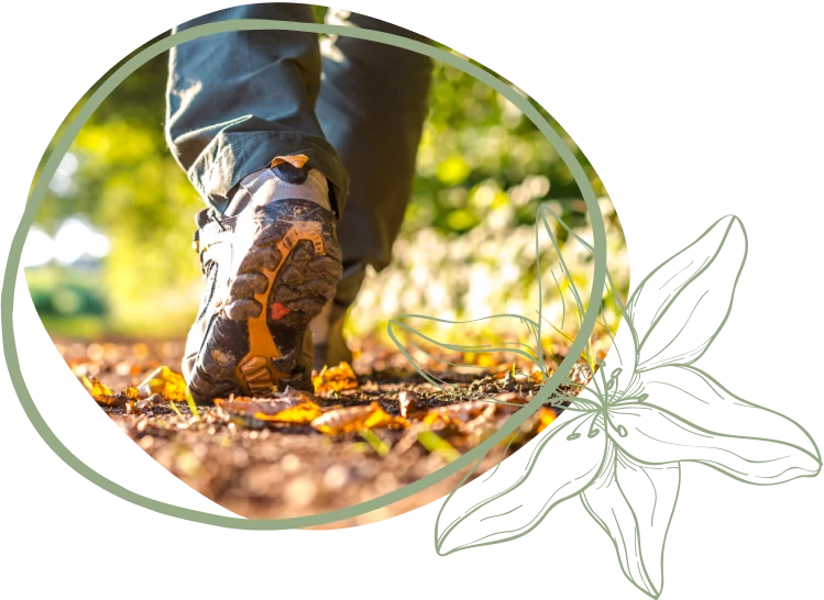 A close-up of a hiker's boot stepping on a nature trail, surrounded by fallen leaves and dappled sunlight.